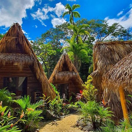 Buena Onda Bungalows Playa Santa Teresa  Екстериор снимка