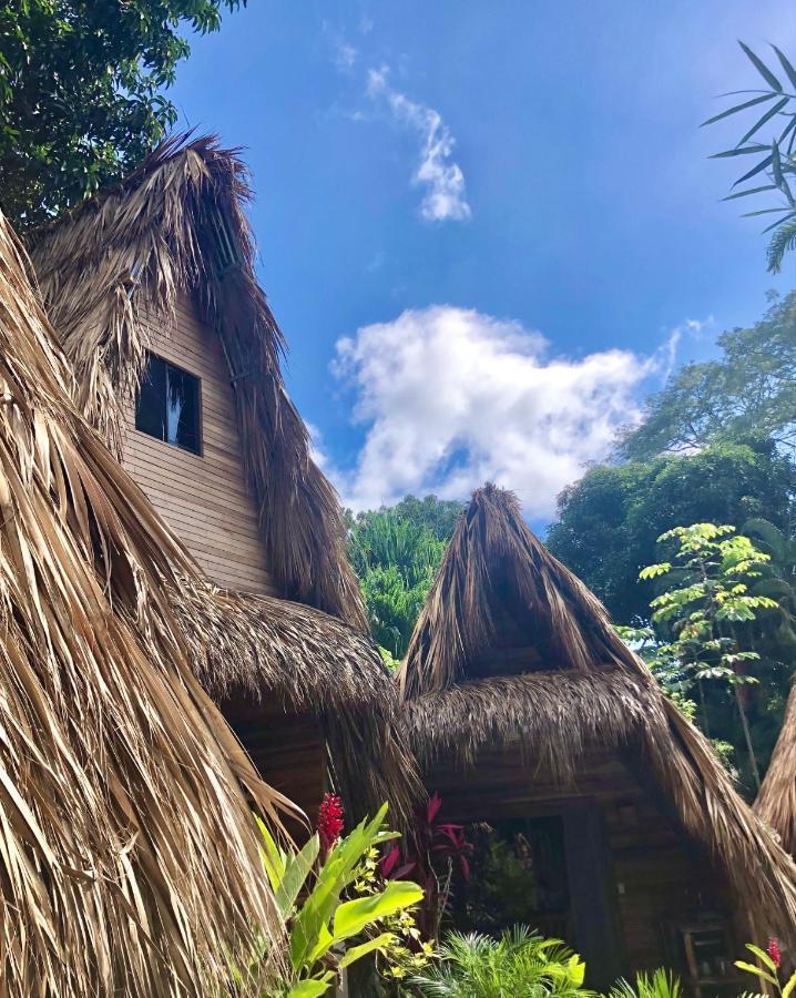 Buena Onda Bungalows Playa Santa Teresa  Екстериор снимка