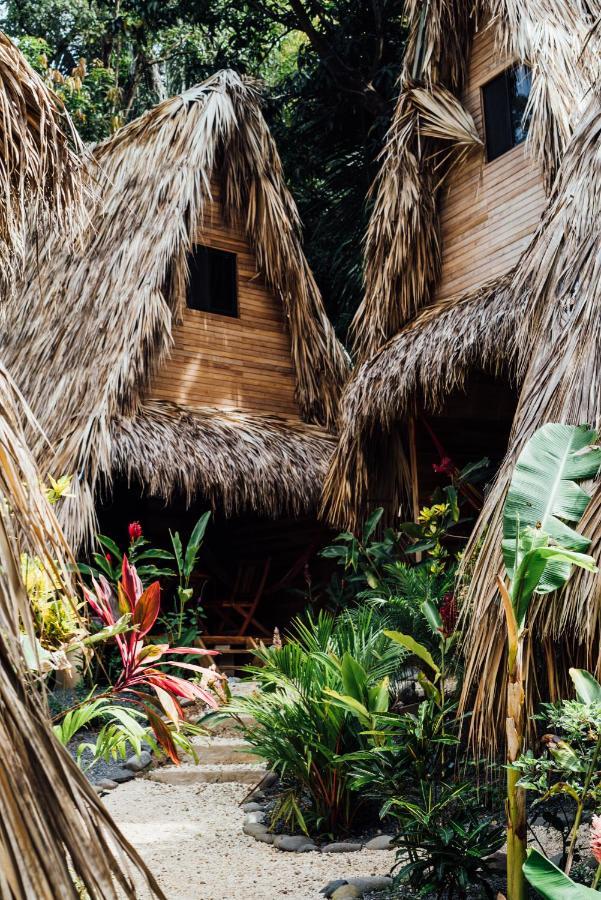 Buena Onda Bungalows Playa Santa Teresa  Екстериор снимка