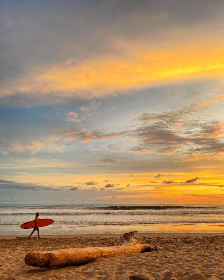 Buena Onda Bungalows Playa Santa Teresa  Екстериор снимка